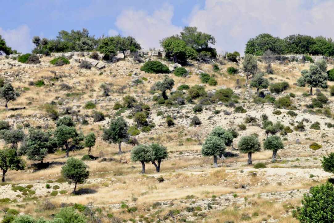 Highway A6: Limassol - Paphos