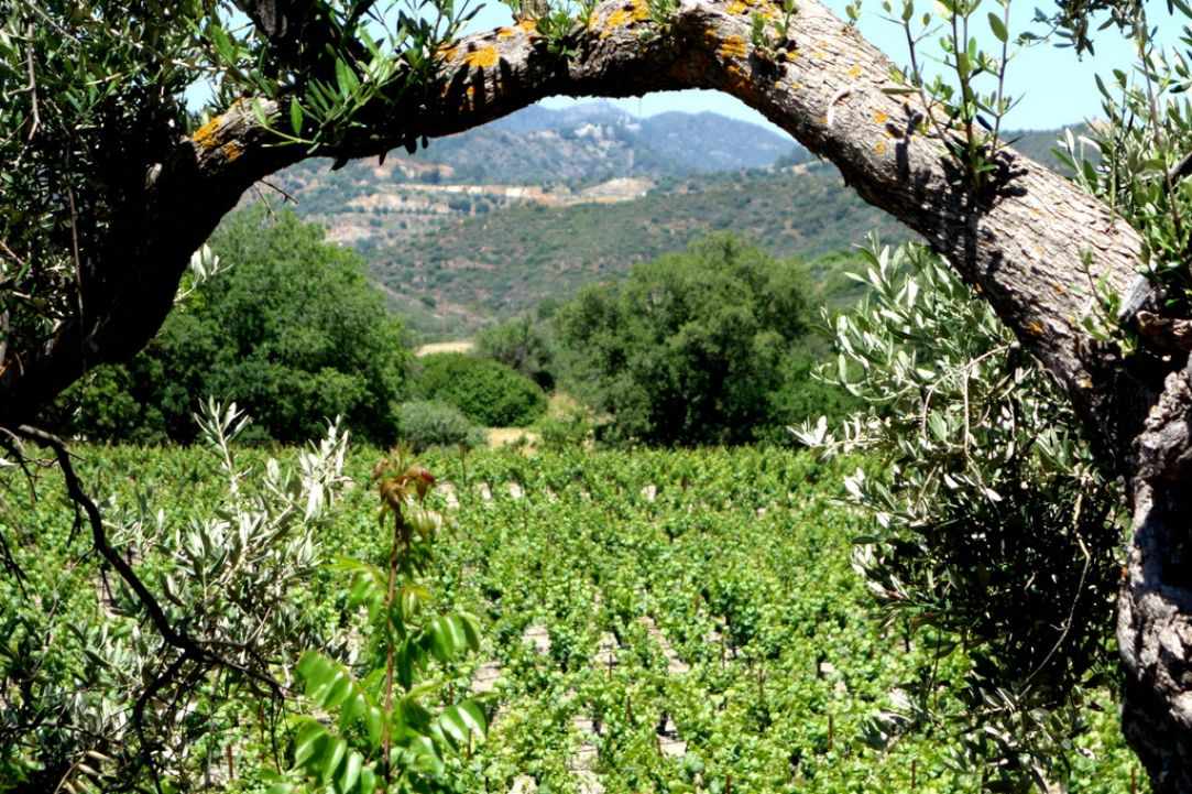 The Wonderful Wines gallery image 1
