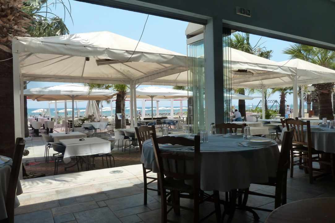 Cyprus Alive