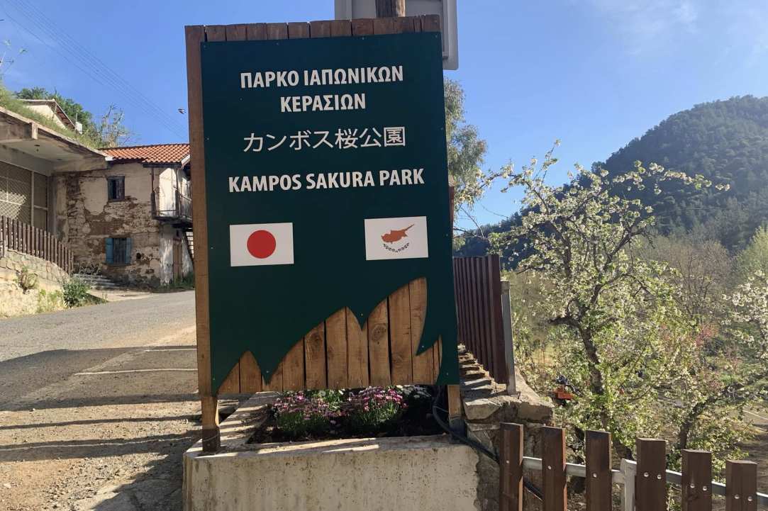 Η Μαγεία των Sakura επιστρέφει στον Κάμπο!