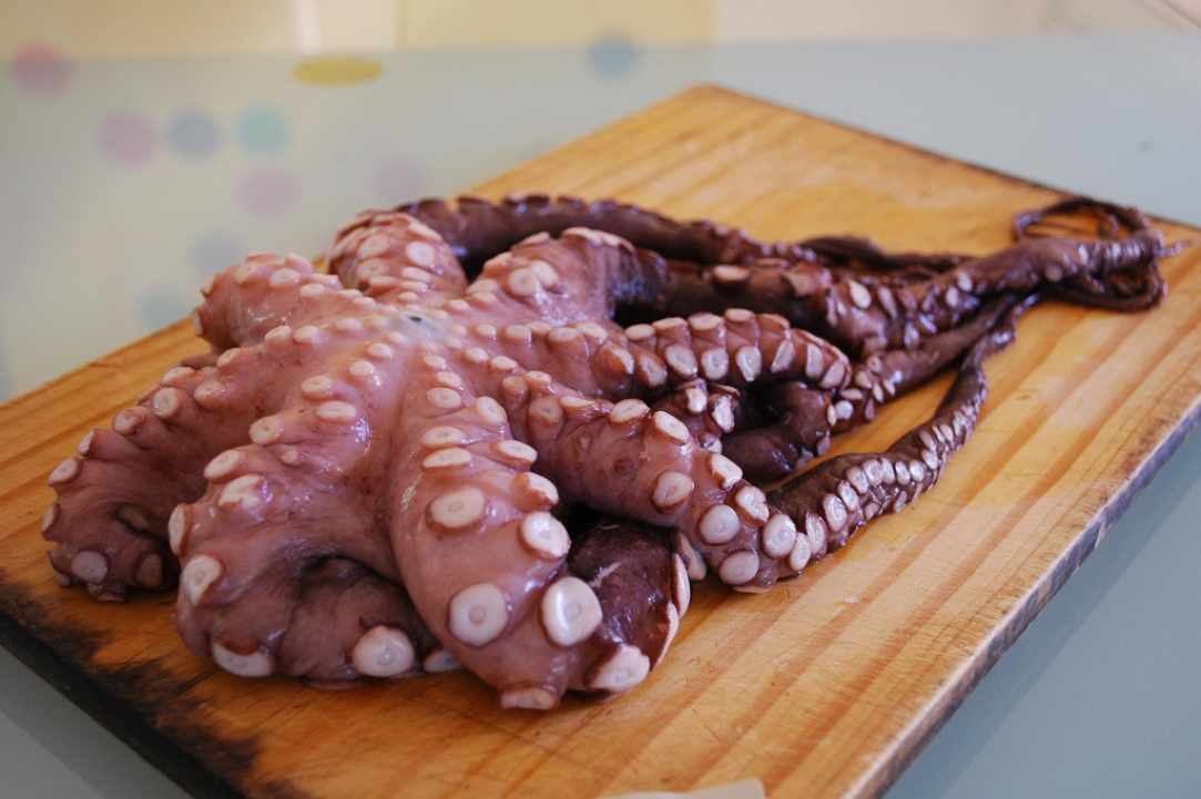 Octopus Stifado (Cyprus octopus stew with onions)