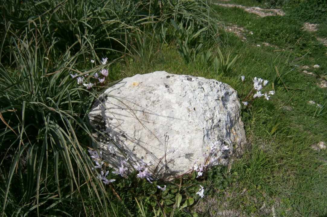 Ακάμας:
