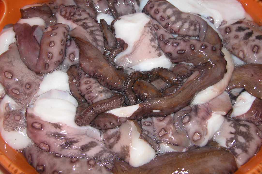 Octopus Stifado (Cyprus octopus stew with onions)