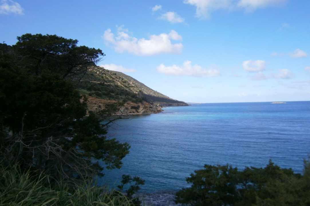 Ακάμας: