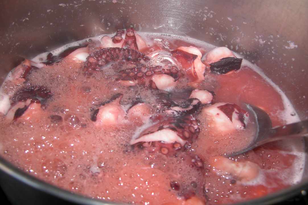 Octopus Stifado (Cyprus octopus stew with onions)