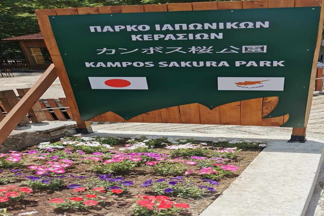 Γιορτή του Κερασιού: ''Το ρουμπίνι του κάμπου της Τσακκίστρας ''
