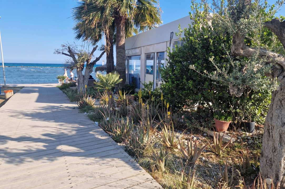 Holiday vibes in a hidden seaside paradise
