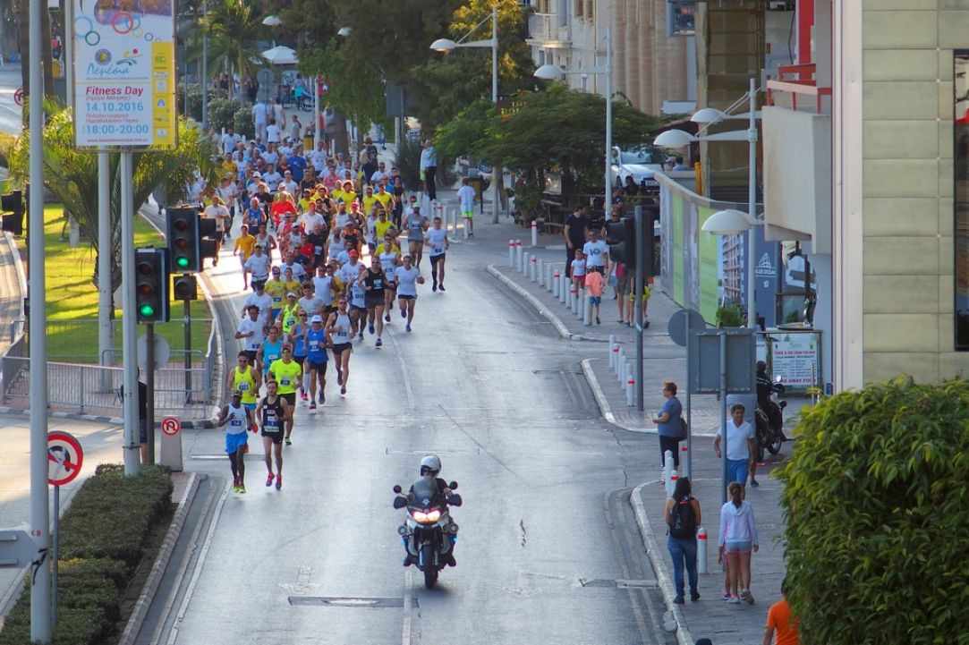 Lemesia 2016 