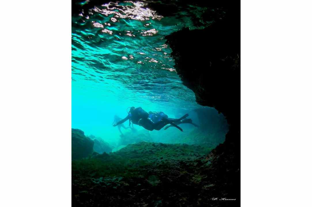 PADI Women's Dive Day 2017