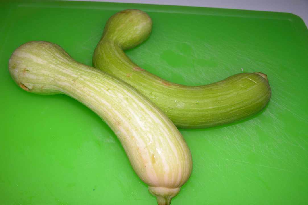Fresh Broad Beans with Swiss Chard and Tromboncino Courgette