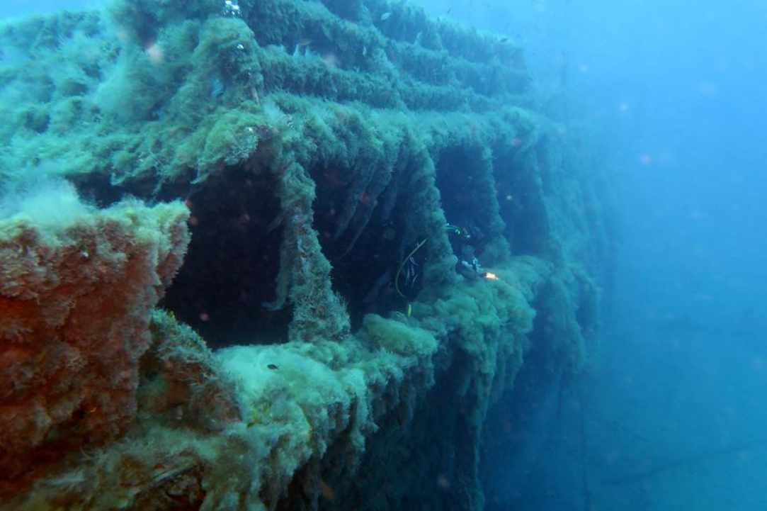 The Alexandria Wreck Cyprus