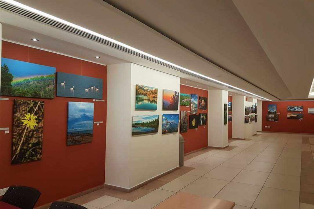 Photo exhibition, flowers, color color color !!! gallery image 2
