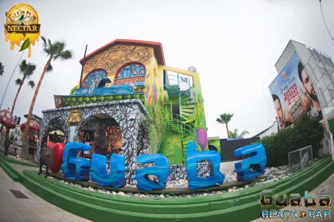 Guaba summer carnival 