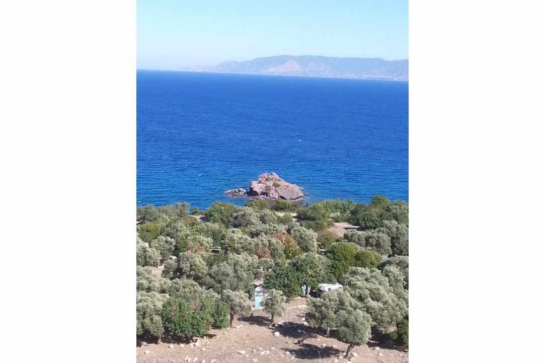 Path of Nature - Aphrodite & Adonis