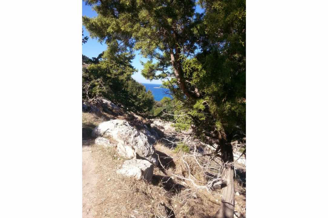 Path of Nature - Aphrodite & Adonis