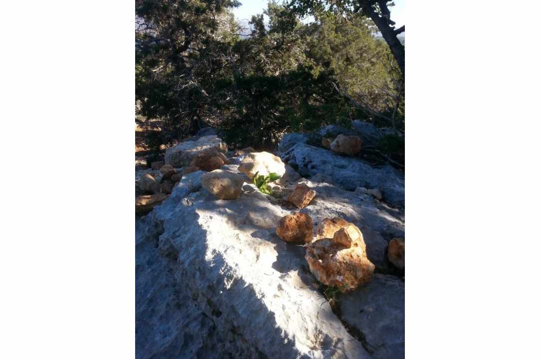 Path of Nature - Aphrodite & Adonis