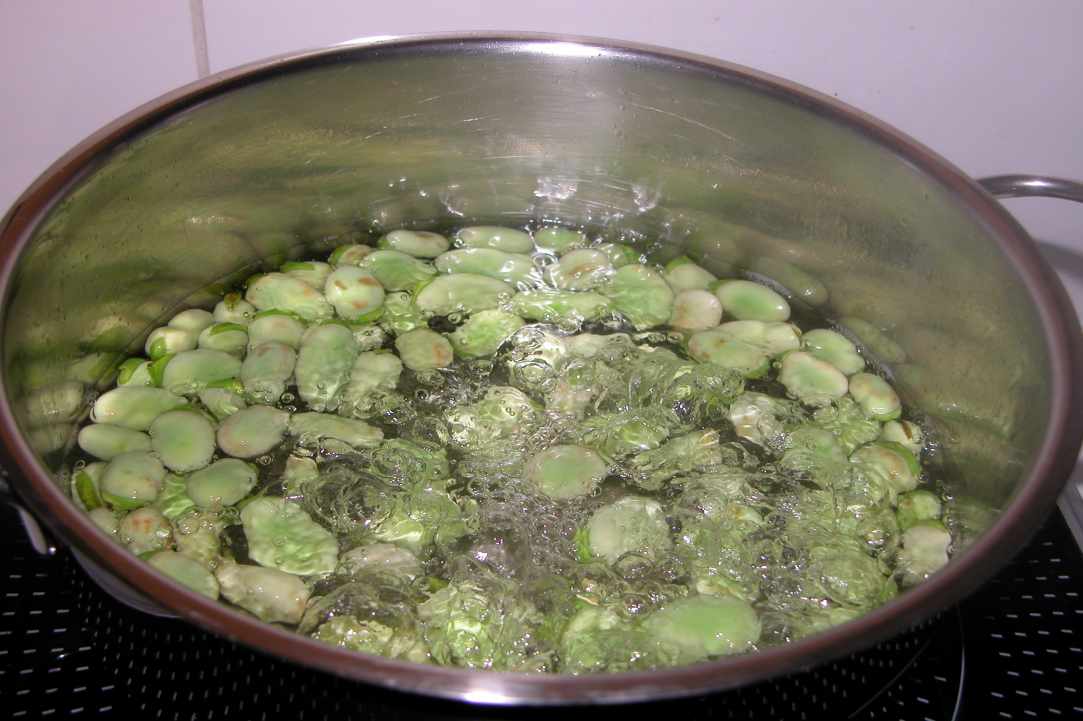 Fresh Broad Beans with Swiss Chard and Tromboncino Courgette gallery image 1