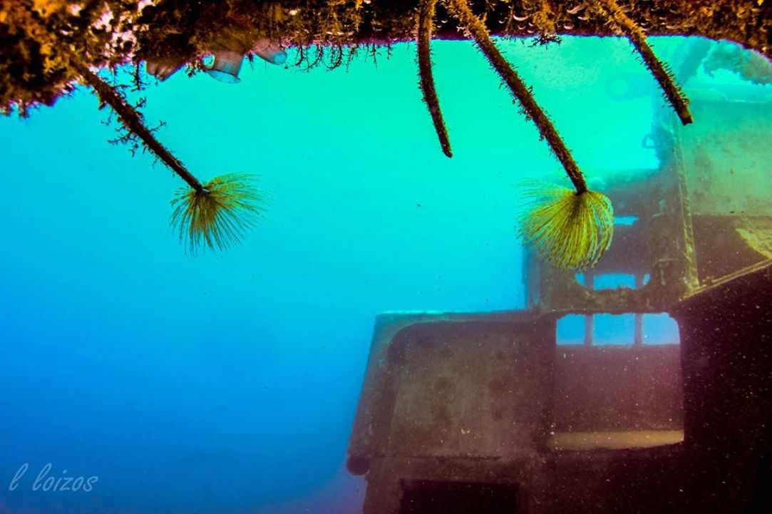 Constandis wreck dive