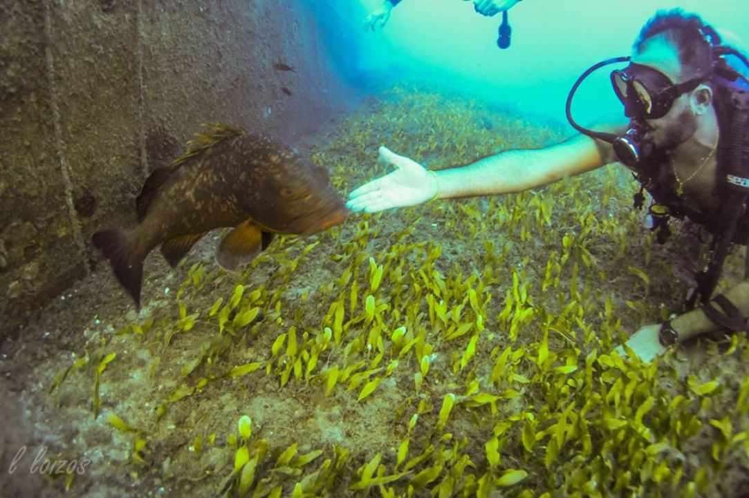 Constandis wreck dive