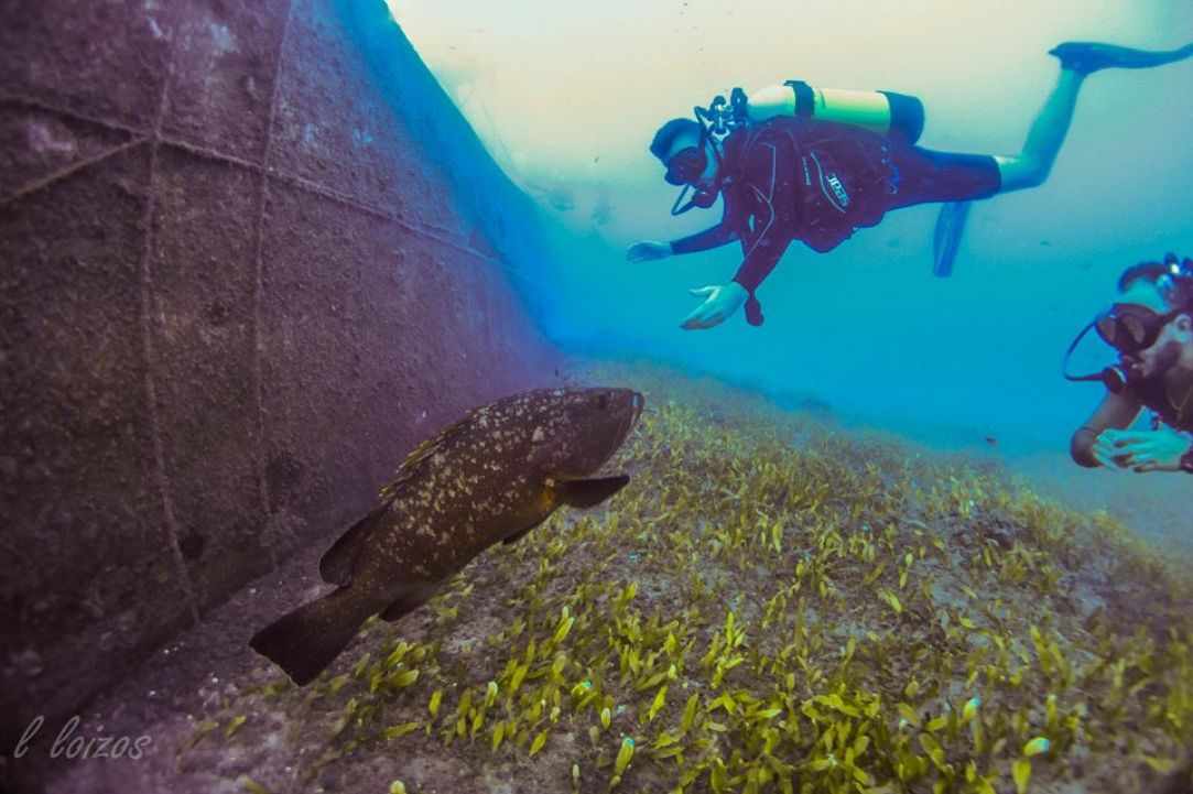 Constandis wreck dive