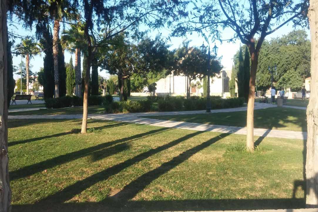Country park in Kiti Village