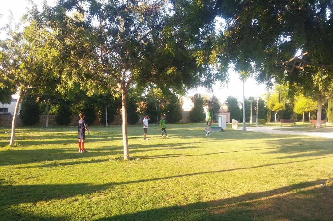 Country park in Kiti Village