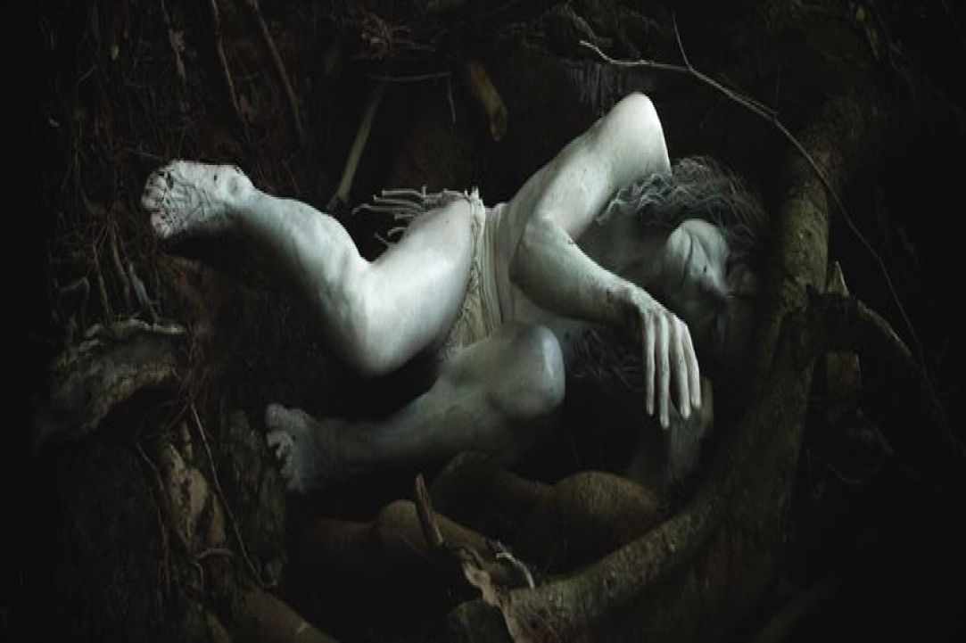 Embodied