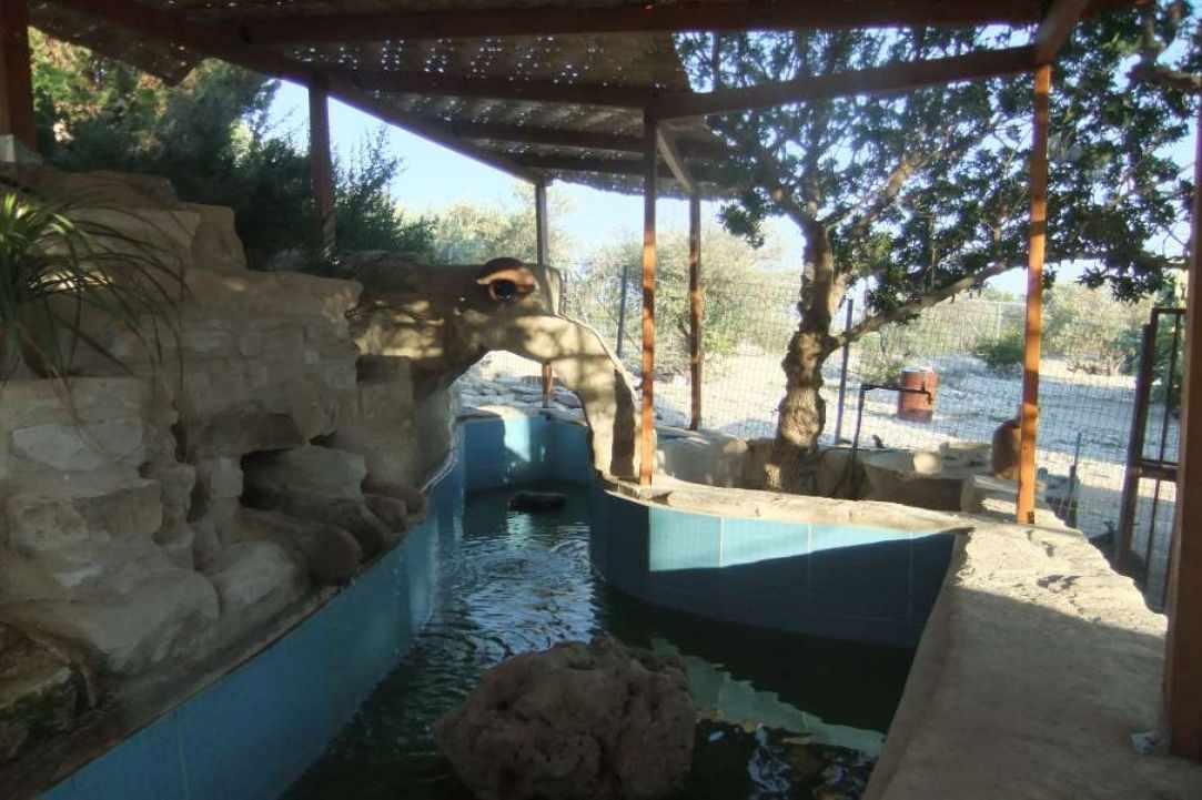 Panayia Eleousa: A beautiful place to visit