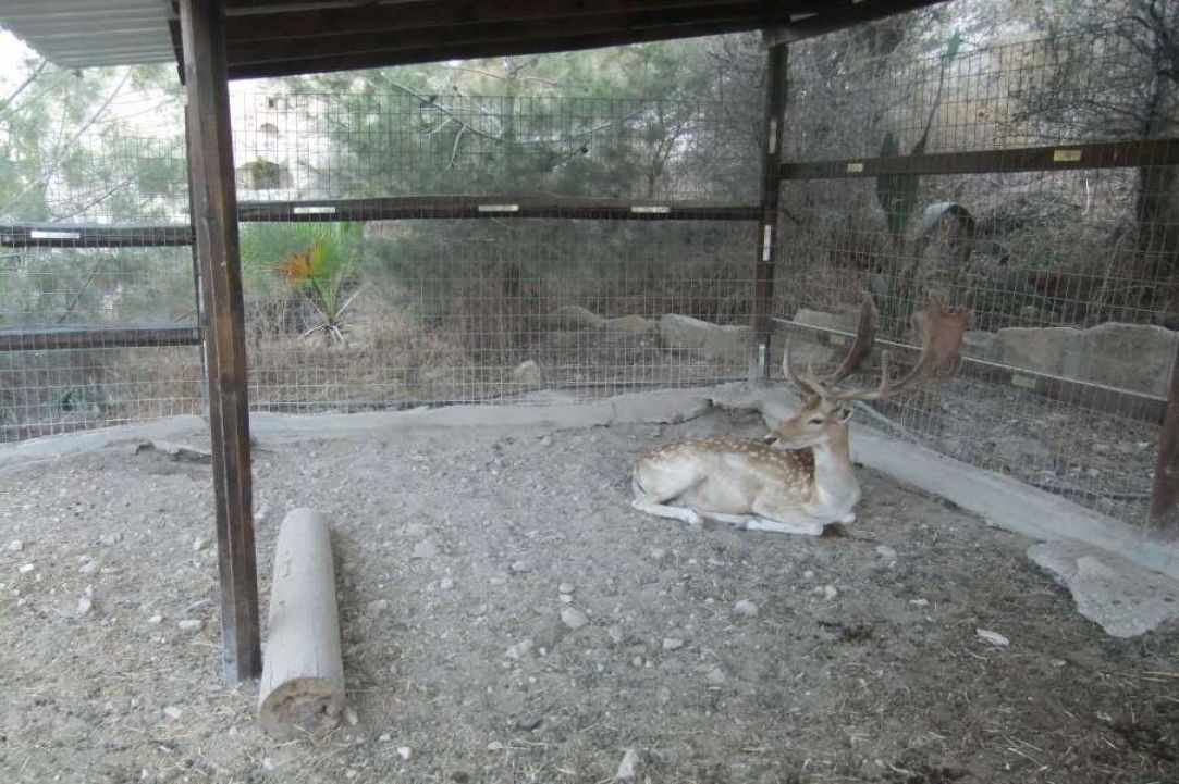 Panayia Eleousa: A beautiful place to visit