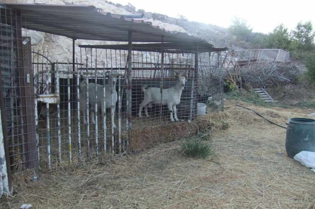 Panayia Eleousa: A beautiful place to visit