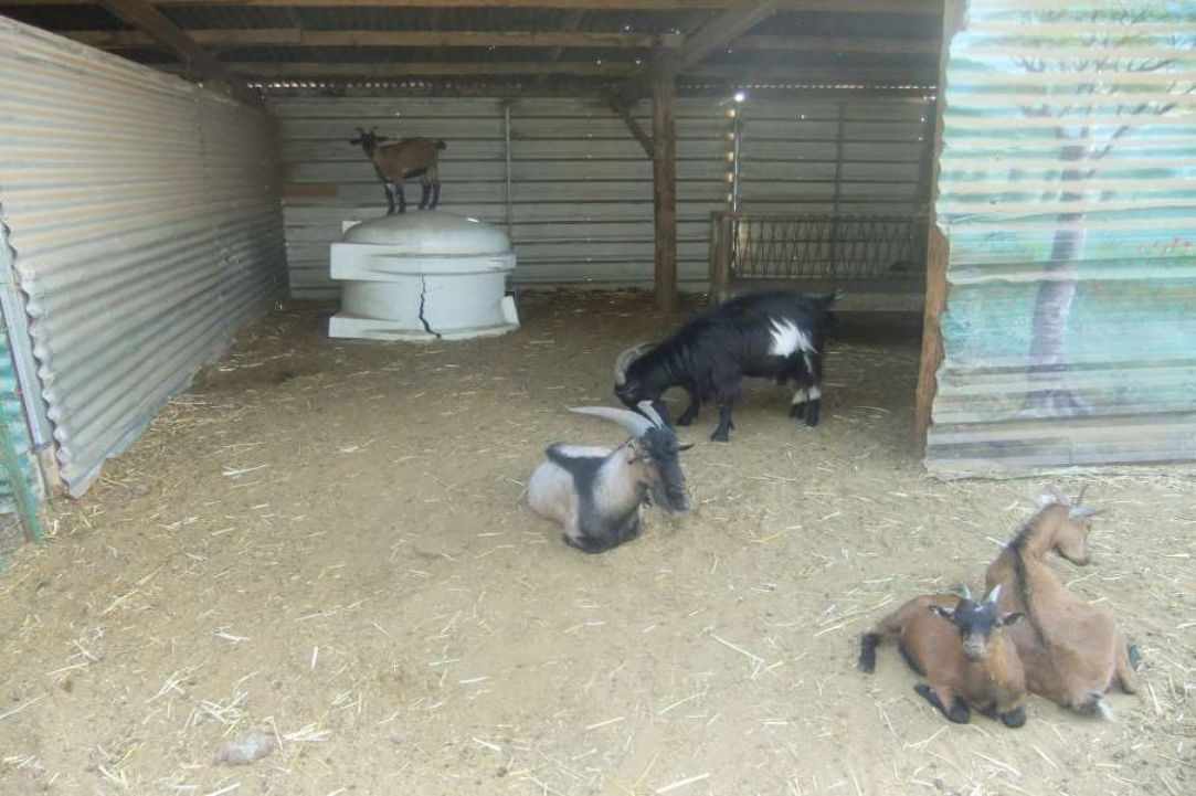 A special day for the whole family