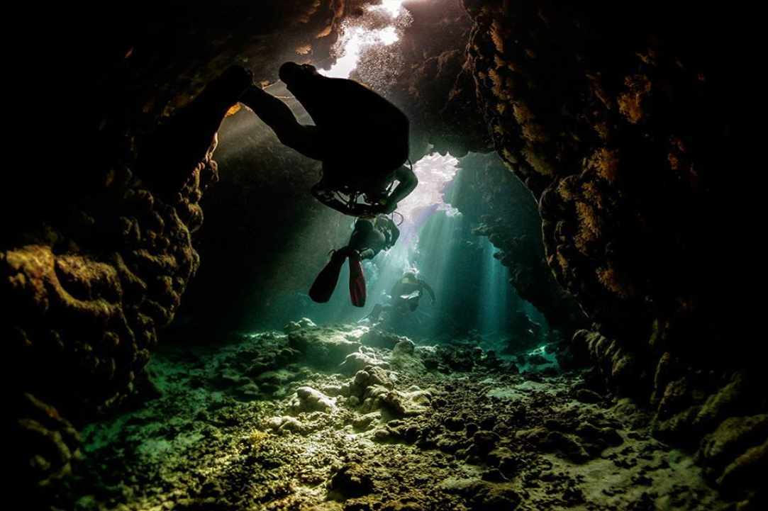 PADI Women's Dive Day 2017