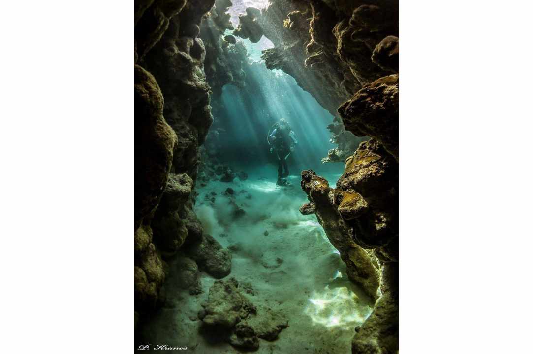 PADI Women's Dive Day 2017