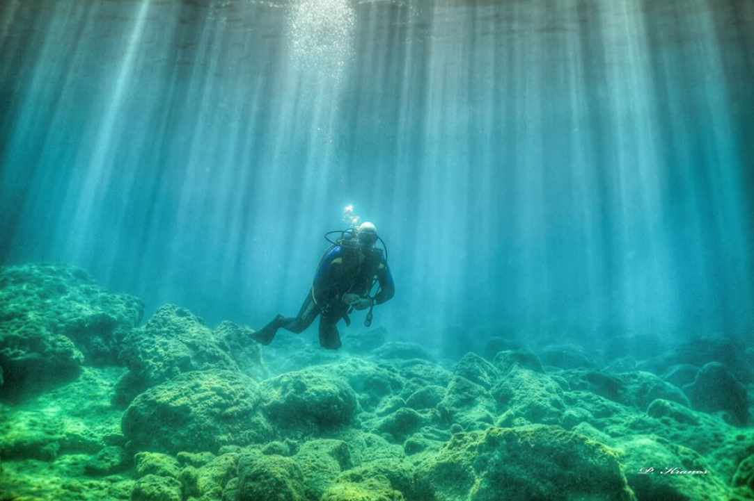 PADI Women's Dive Day 2017