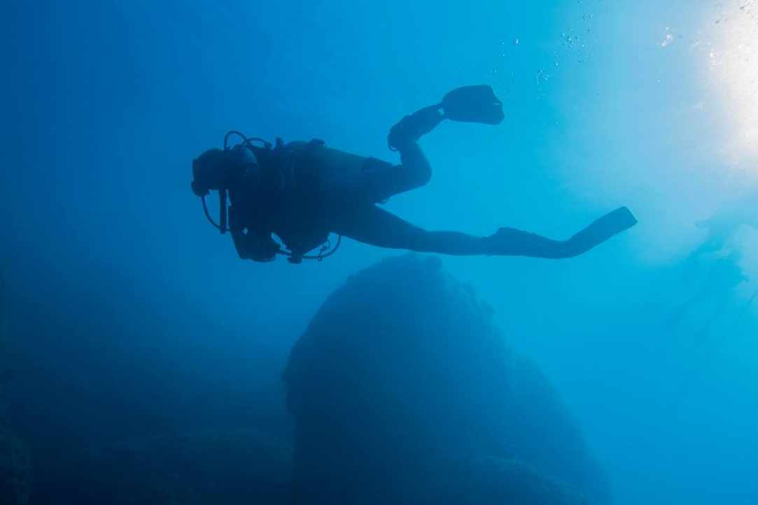 PADI Women's Dive Day 2017