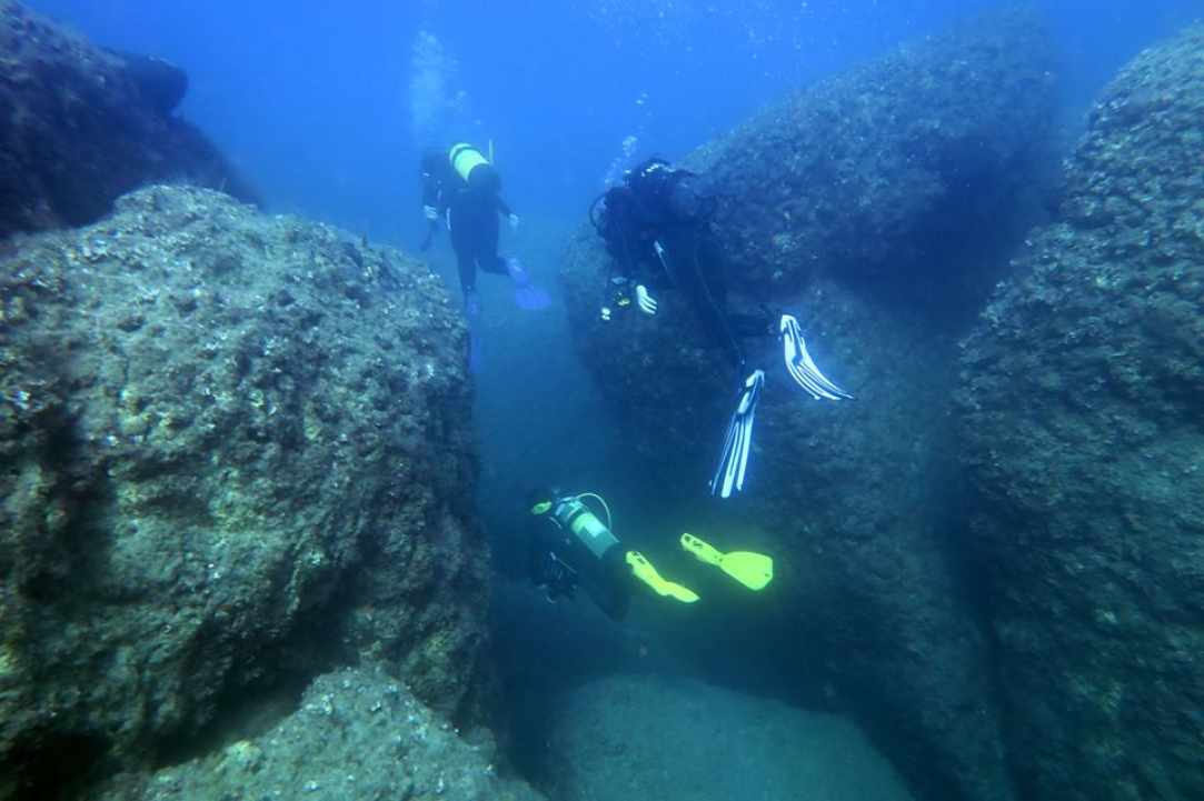 PADI Women's Dive Day 2017