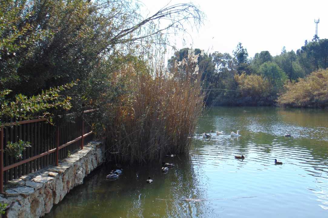 Athalassa Park