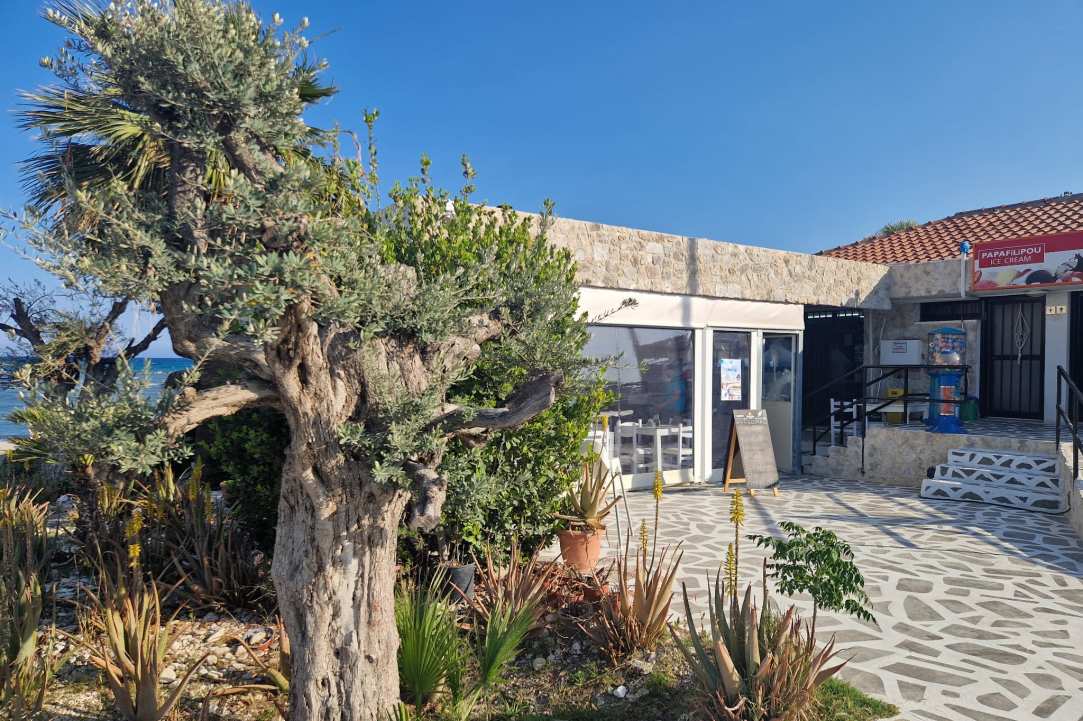Holiday vibes in a hidden seaside paradise
