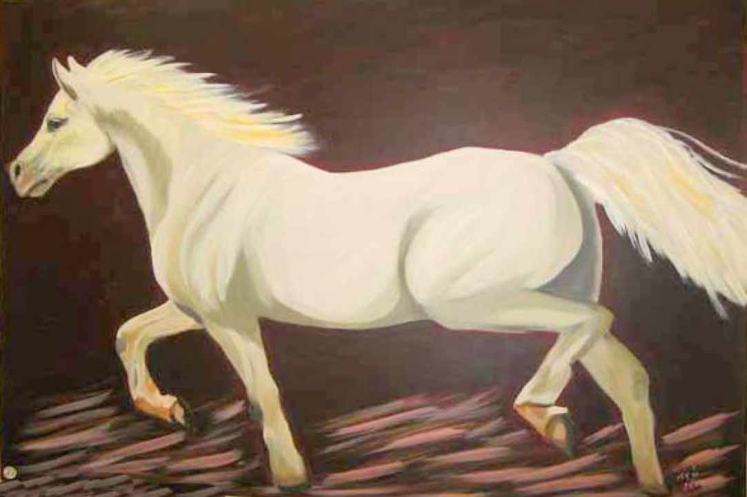 Iro Armefti