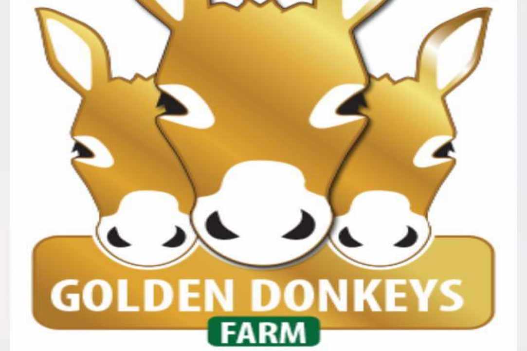 1st of May, let's go to the Golden Donkeys Farm!