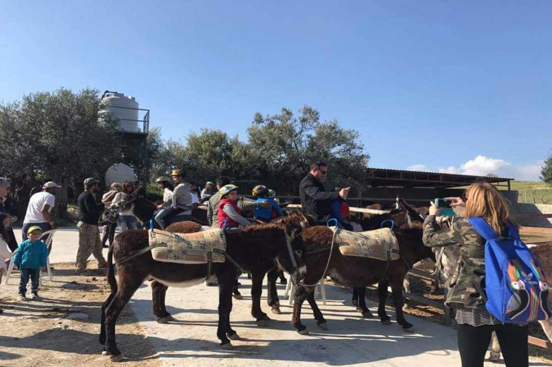 1st of May, let's go to the Golden Donkeys Farm!