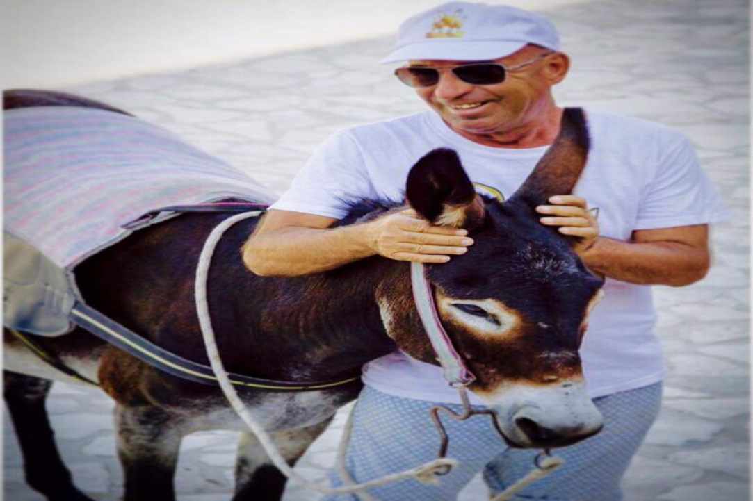 1st of May, let's go to the Golden Donkeys Farm!