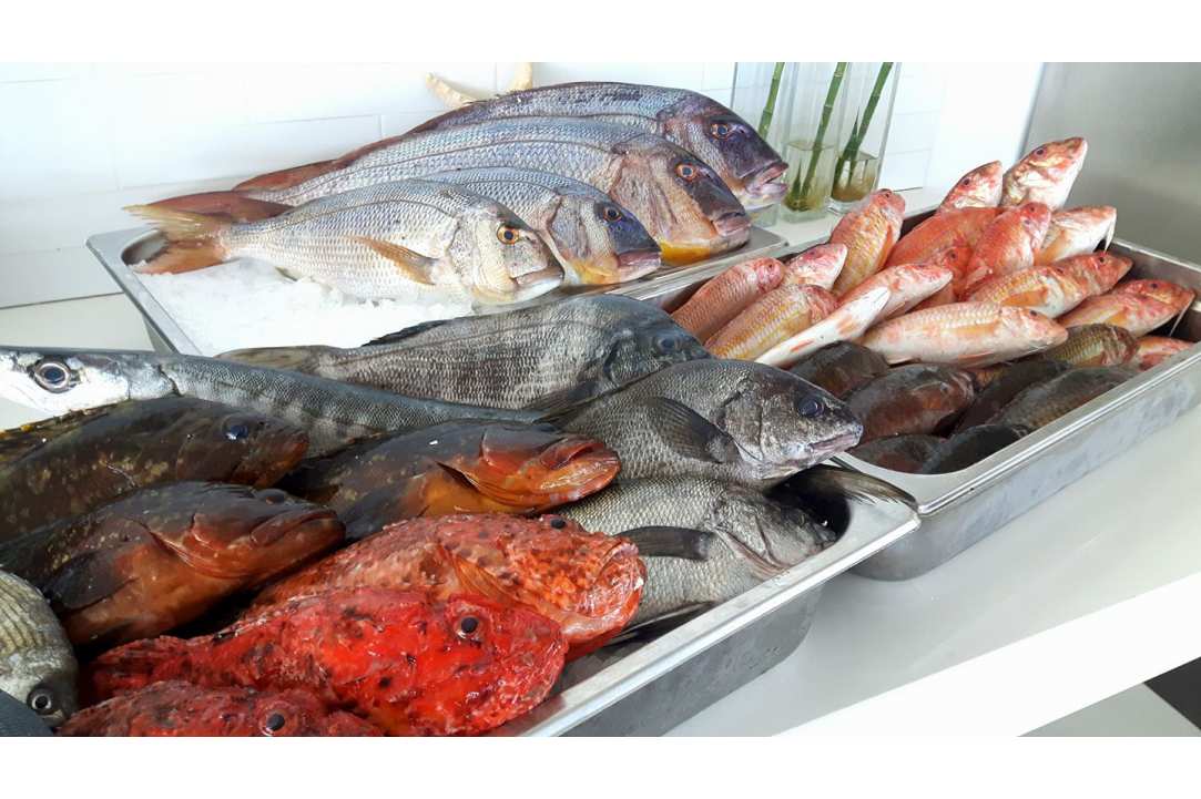 Eating fresh fish right on the beach feels like paradise!