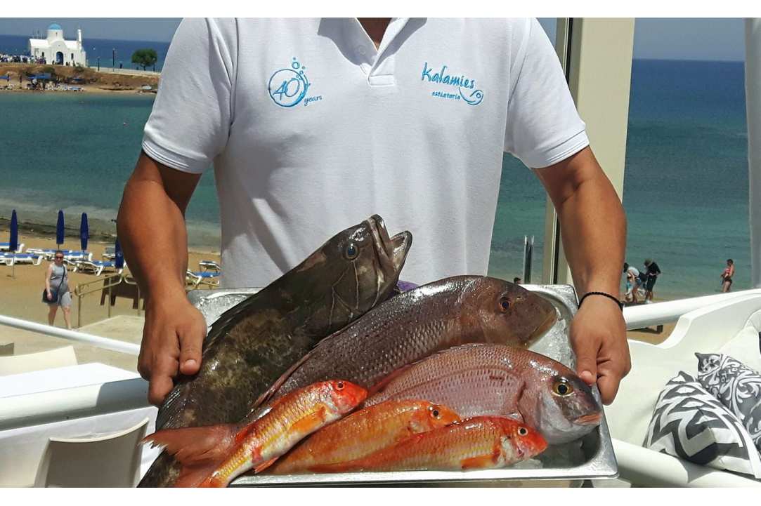 Eating fresh fish right on the beach feels like paradise!