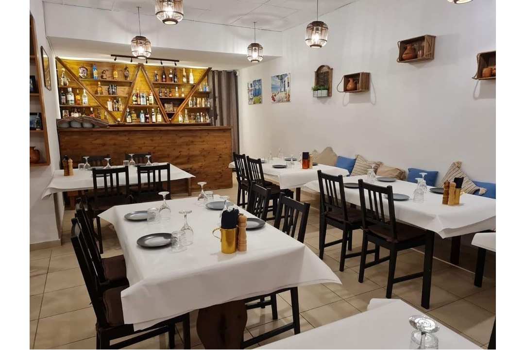 Stenó Mezedopoleío – Ouzerí: Ultimate Taste Escape!