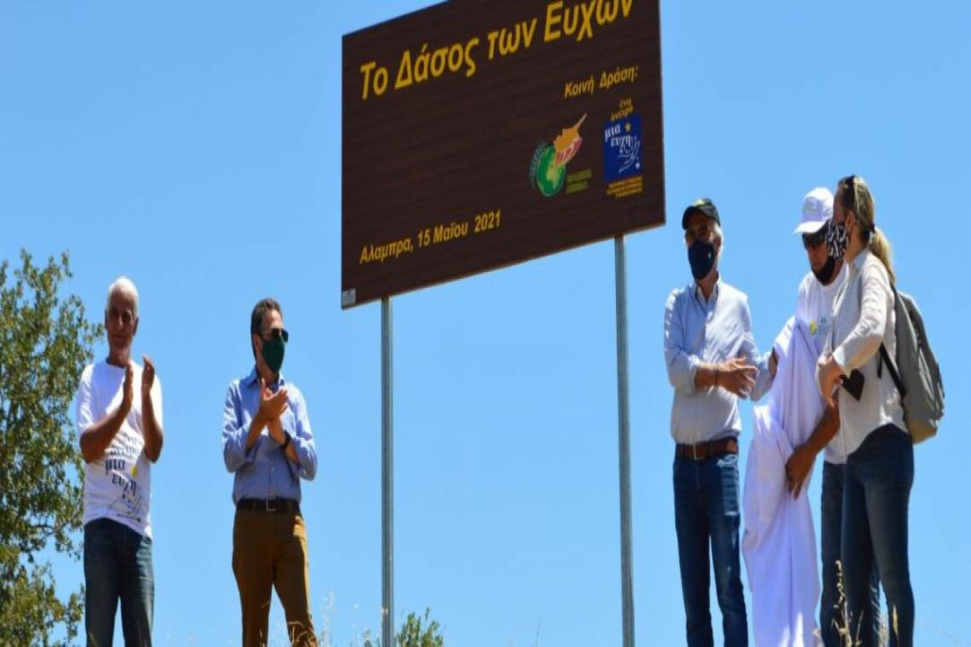 You Reforest Cyprus