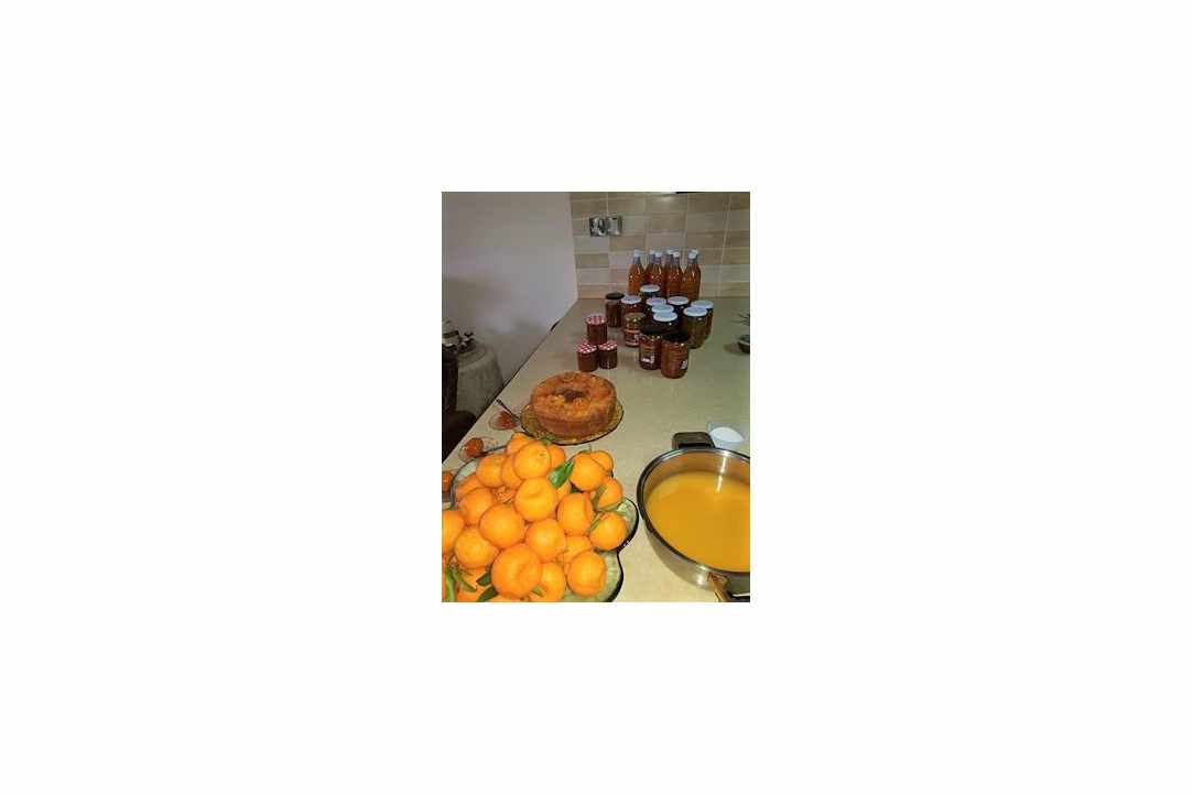 1st Mandarin Festival at Dierona Limassol