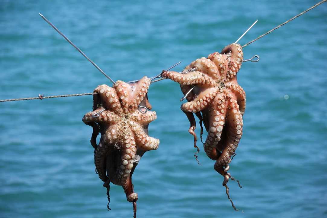 Octopus Stifado (Cyprus octopus stew with onions)