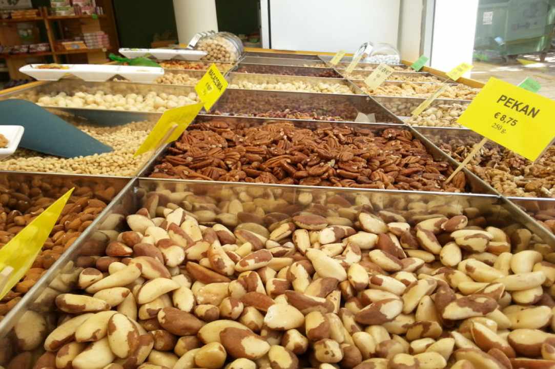 Interview with the owner of Mediterranean Nature in Pafos