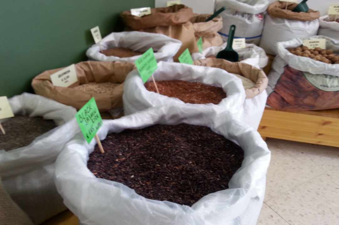 Interview with the owner of Mediterranean Nature in Pafos